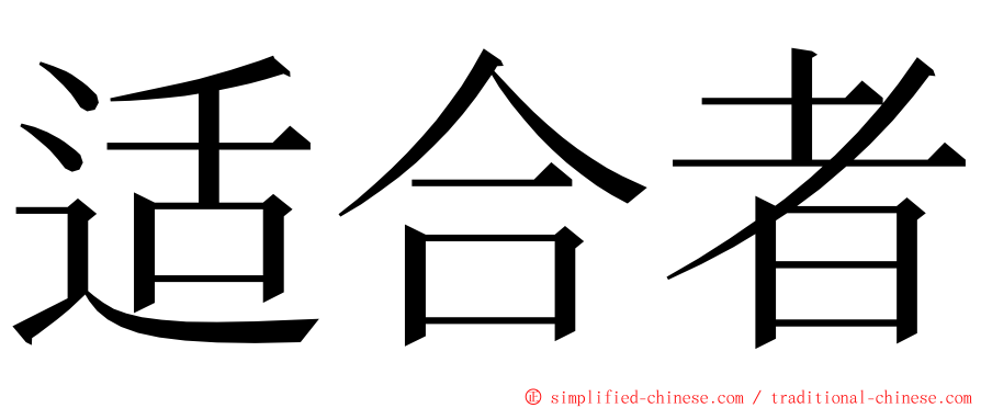 适合者 ming font