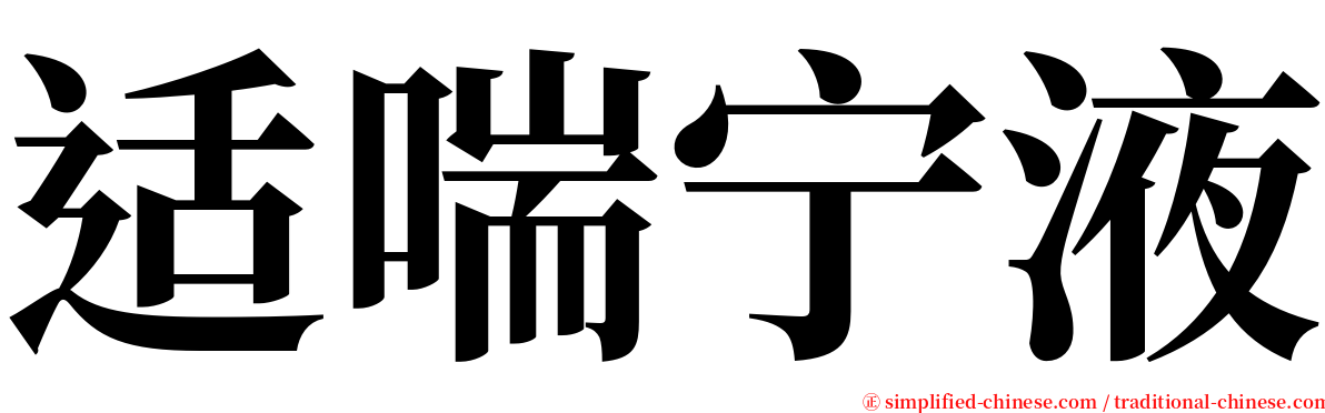 适喘宁液 serif font