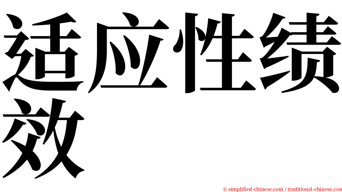 适应性绩效 serif font