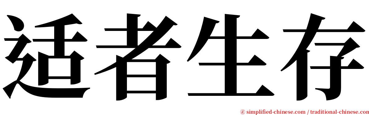 适者生存 serif font