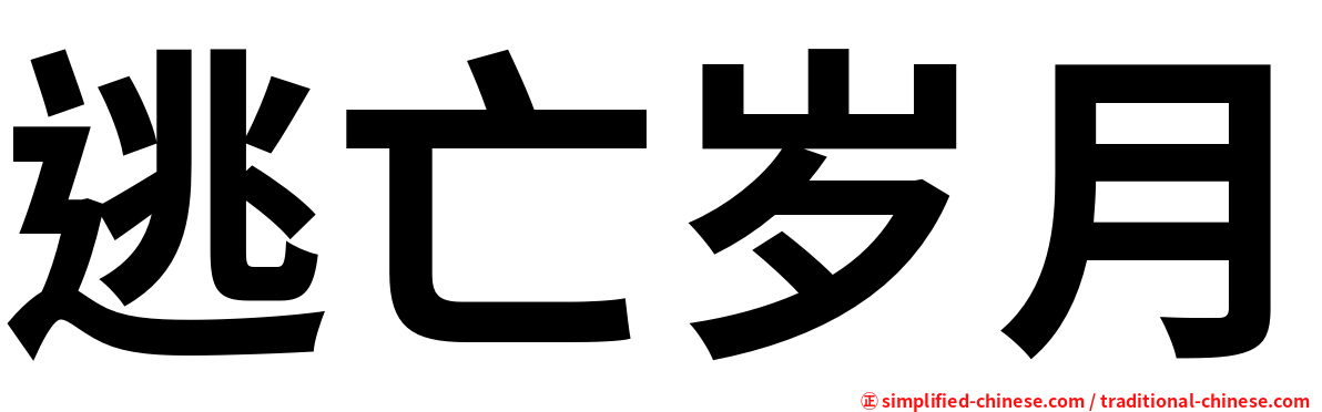 逃亡岁月