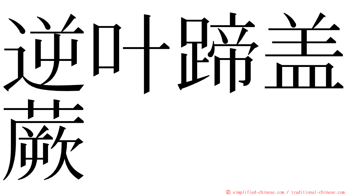 逆叶蹄盖蕨 ming font