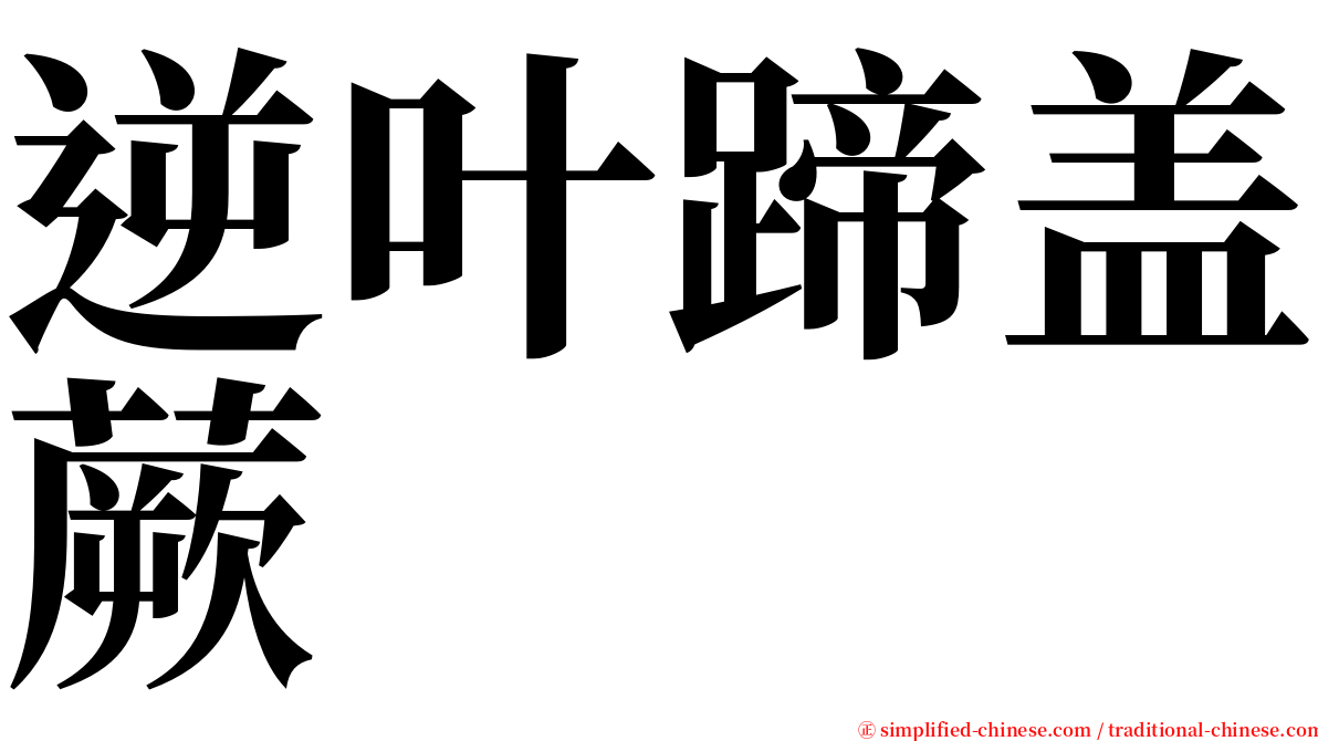 逆叶蹄盖蕨 serif font