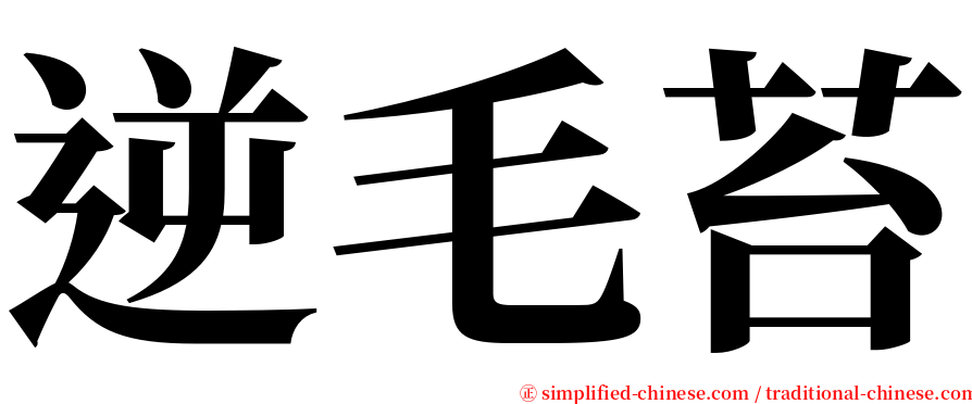 逆毛苔 serif font