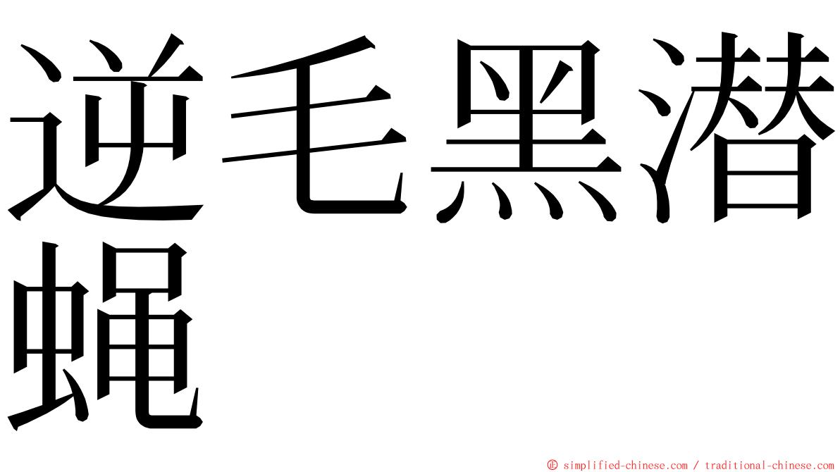 逆毛黑潜蝇 ming font