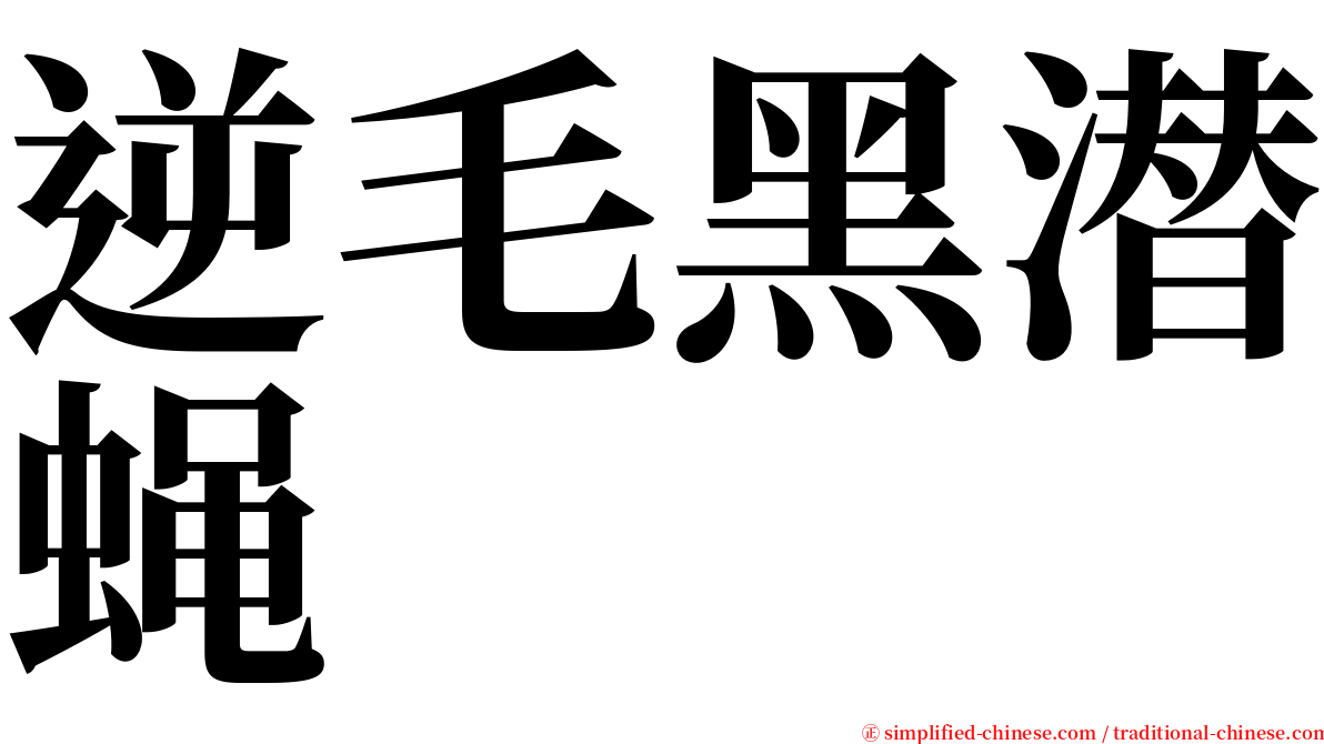 逆毛黑潜蝇 serif font