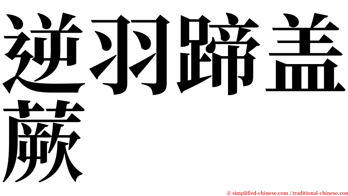 逆羽蹄盖蕨 serif font