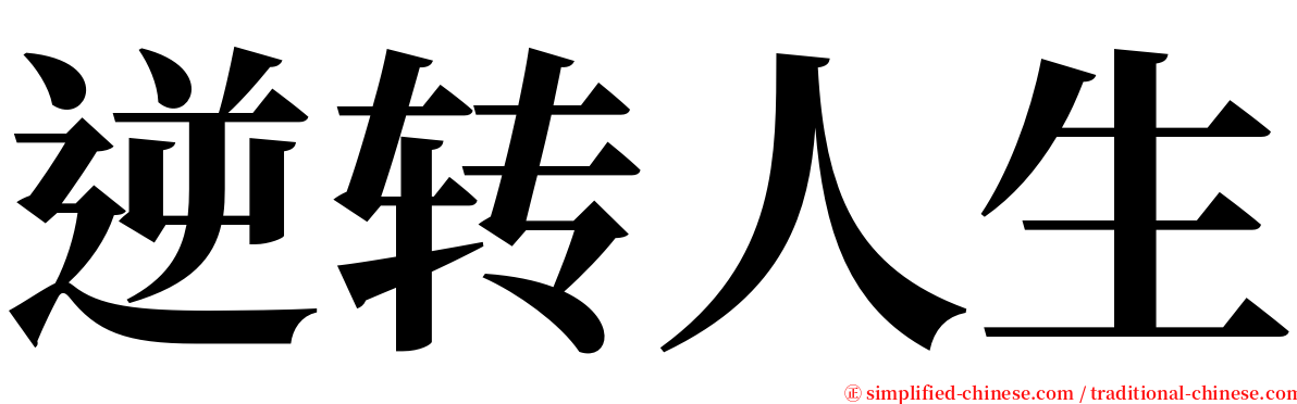 逆转人生 serif font