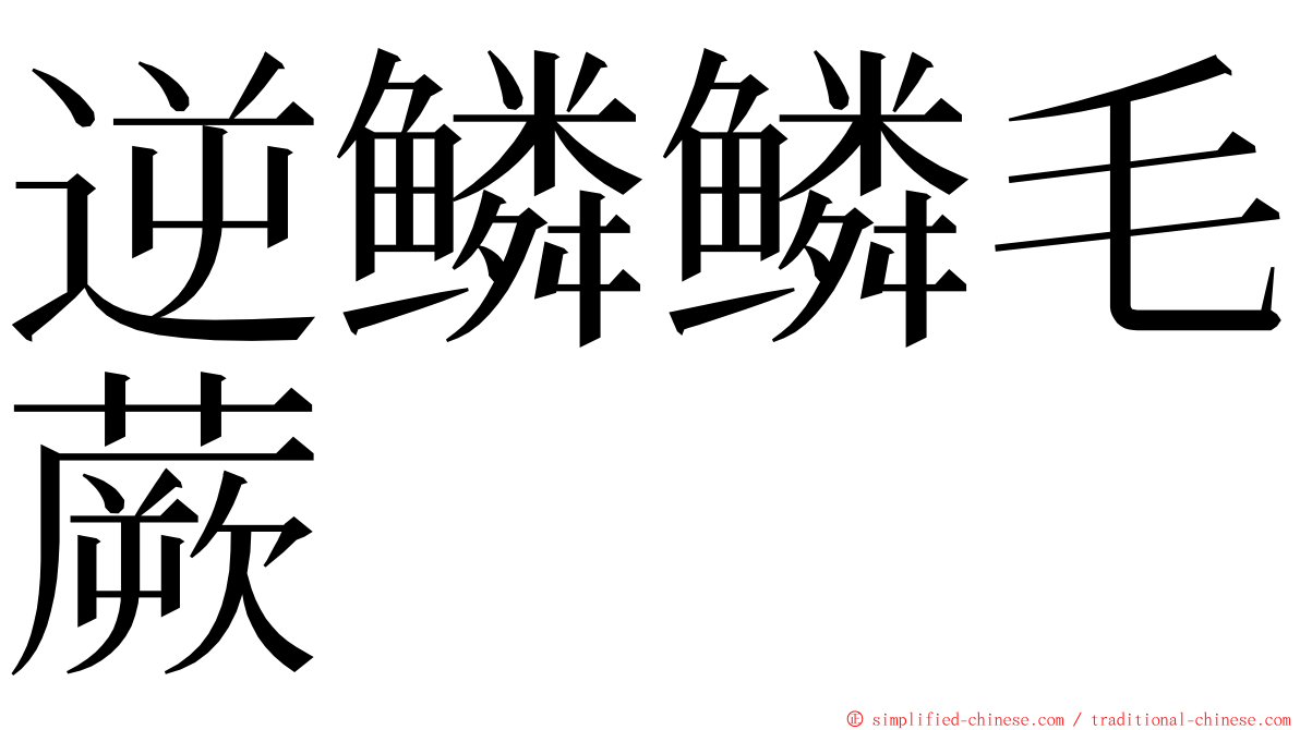 逆鳞鳞毛蕨 ming font