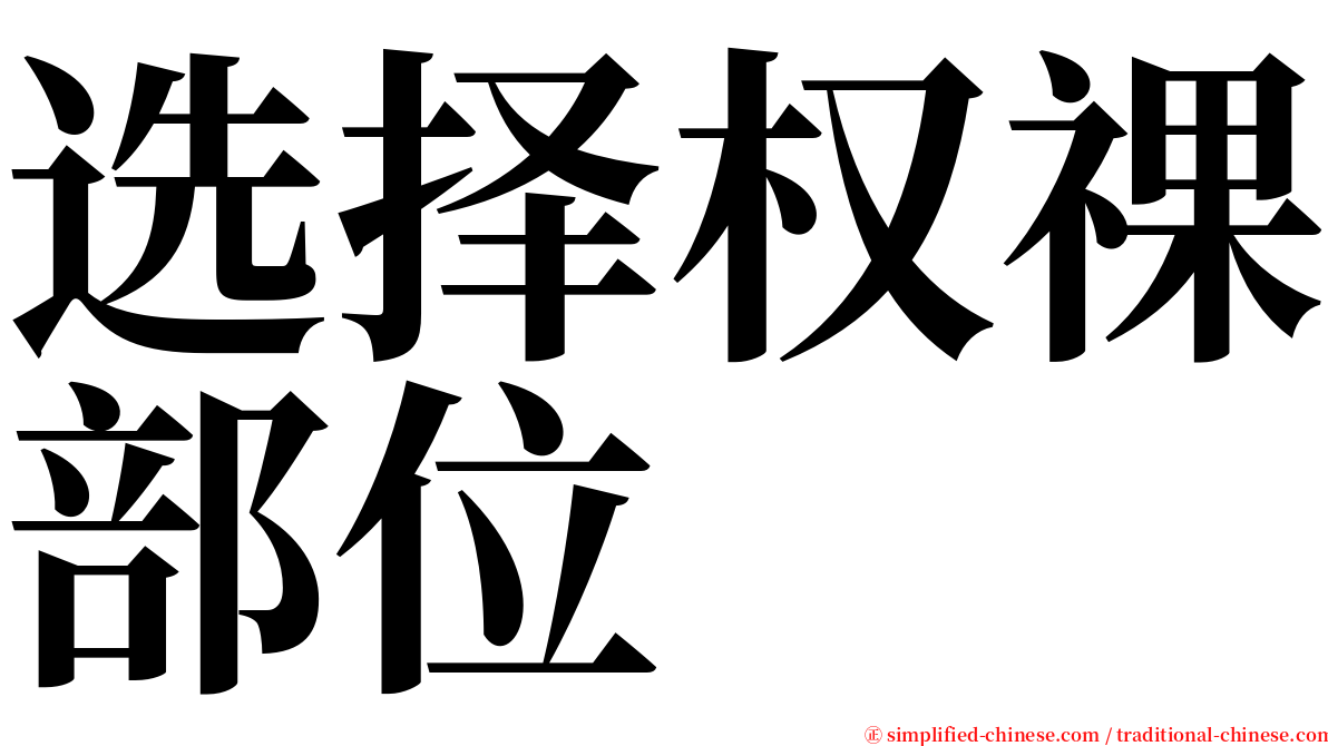 选择权祼部位 serif font