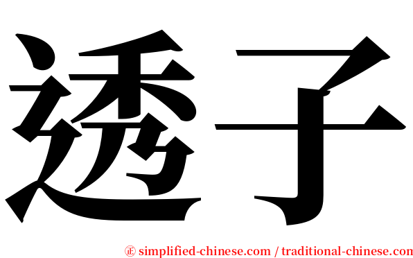 透子 serif font