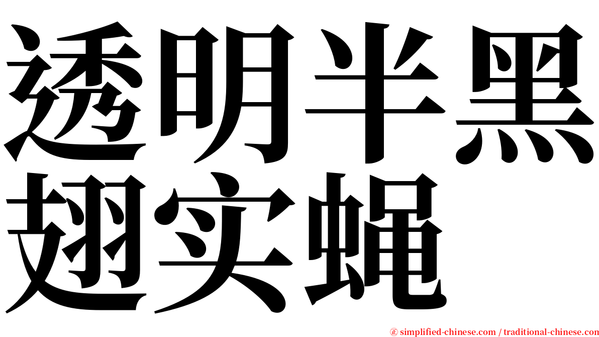 透明半黑翅实蝇 serif font