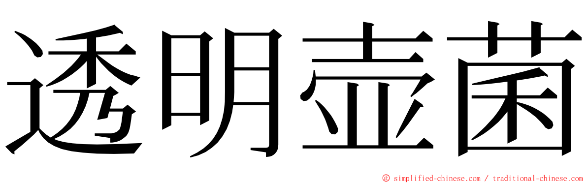 透明壶菌 ming font