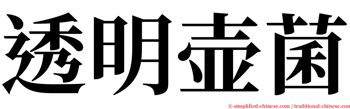 透明壶菌 serif font