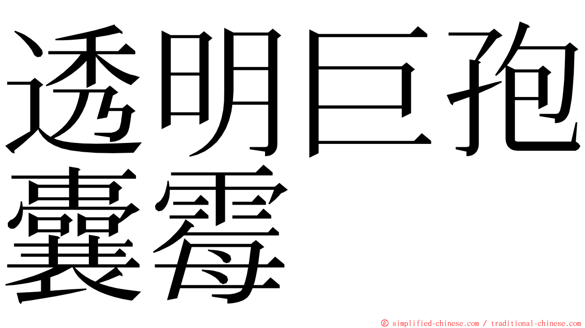 透明巨孢囊霉 ming font