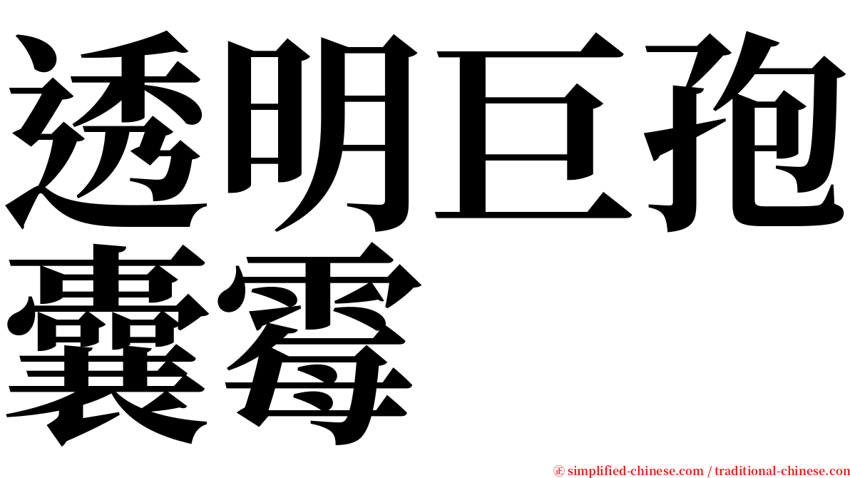 透明巨孢囊霉 serif font