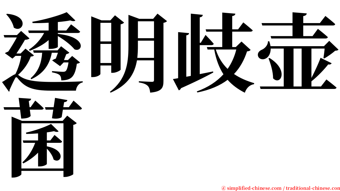 透明歧壶菌 serif font