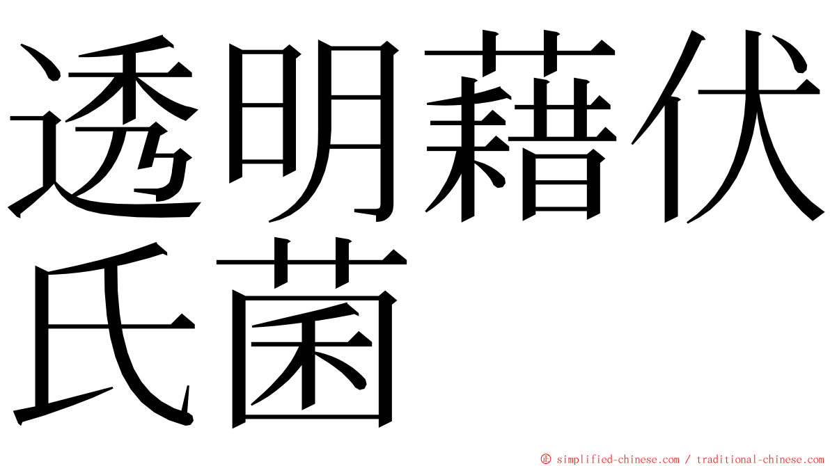 透明藉伏氏菌 ming font