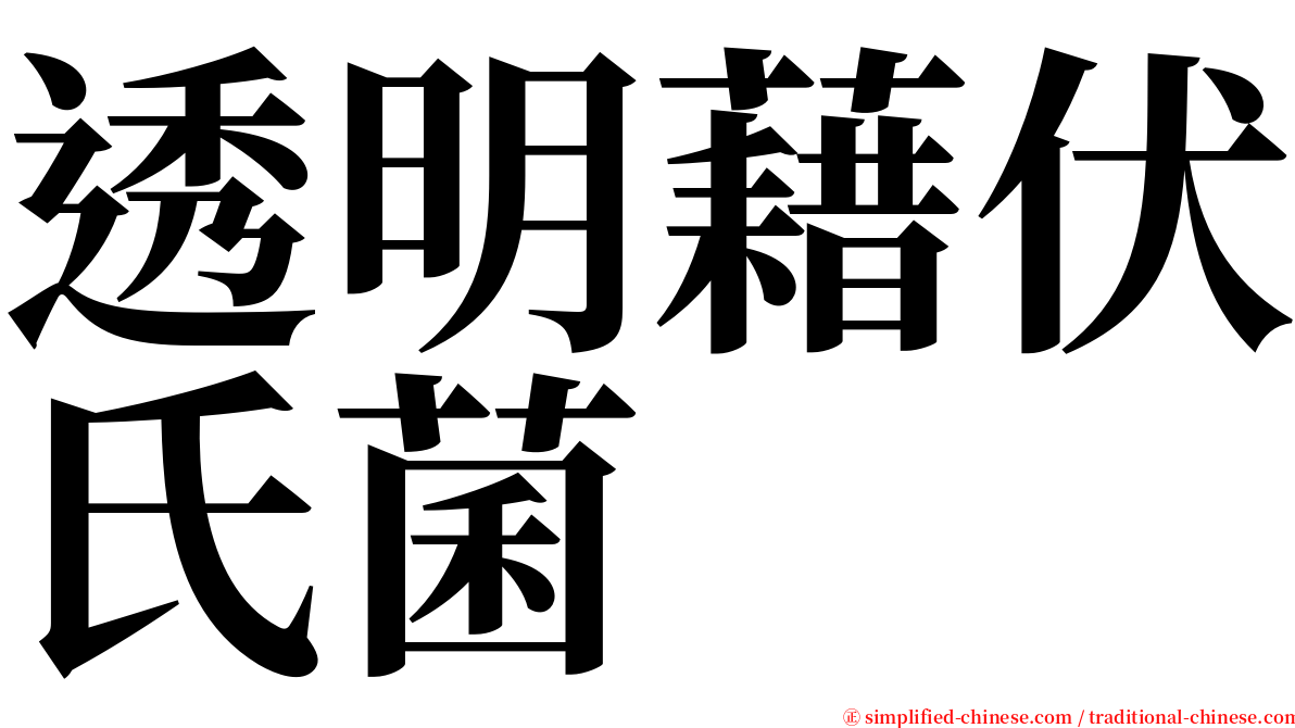 透明藉伏氏菌 serif font