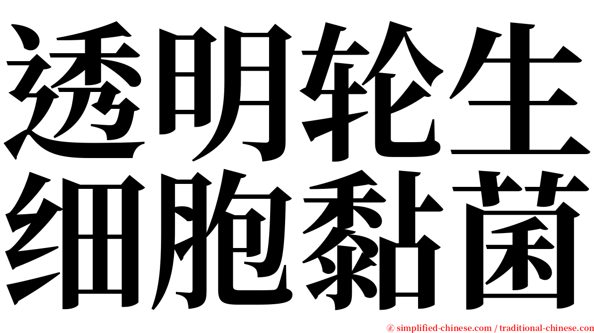 透明轮生细胞黏菌 serif font