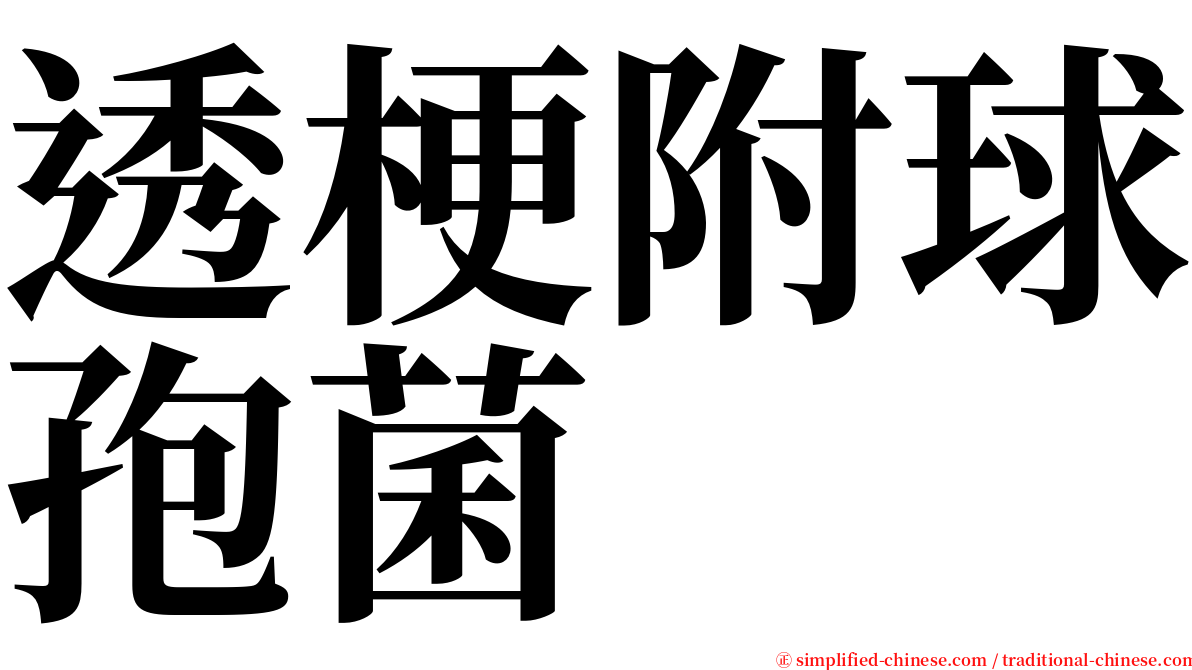 透梗附球孢菌 serif font