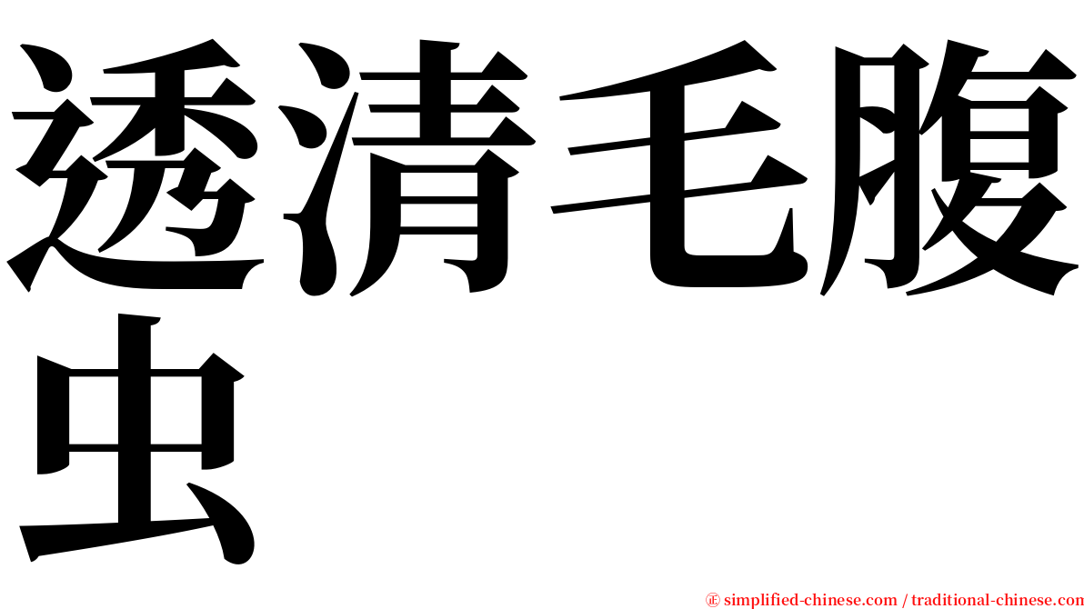 透清毛腹虫 serif font