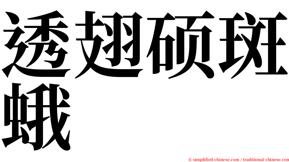 透翅硕斑蛾 serif font