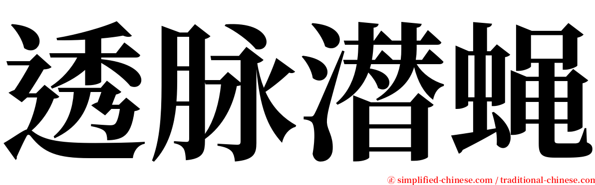 透脉潜蝇 serif font