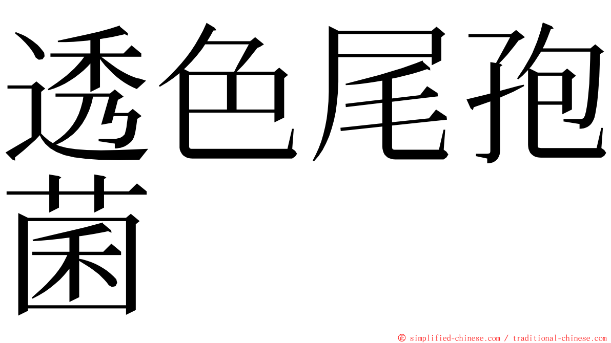 透色尾孢菌 ming font