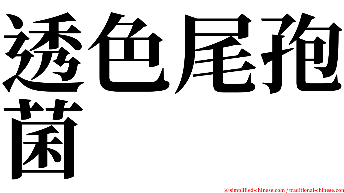 透色尾孢菌 serif font