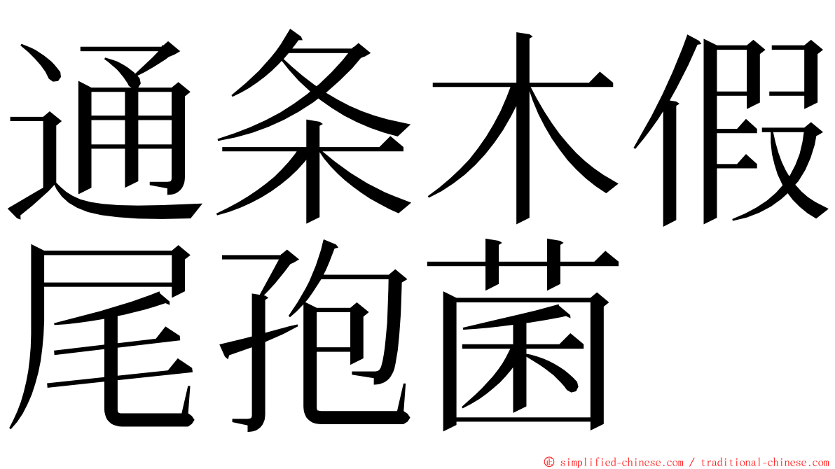 通条木假尾孢菌 ming font