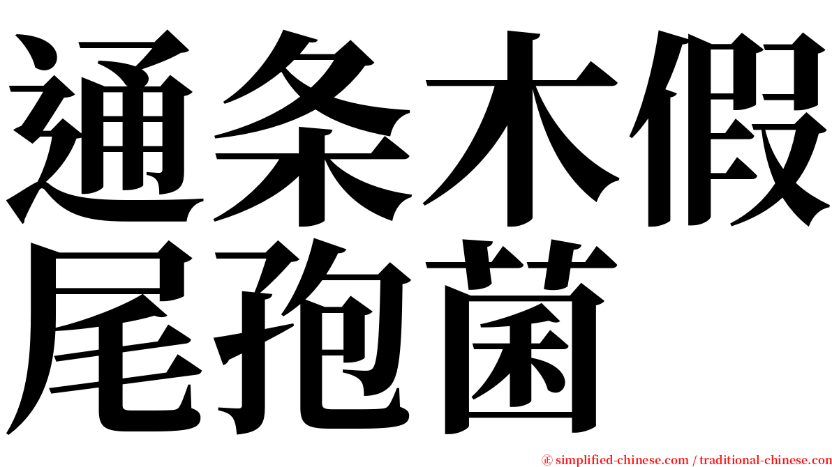 通条木假尾孢菌 serif font