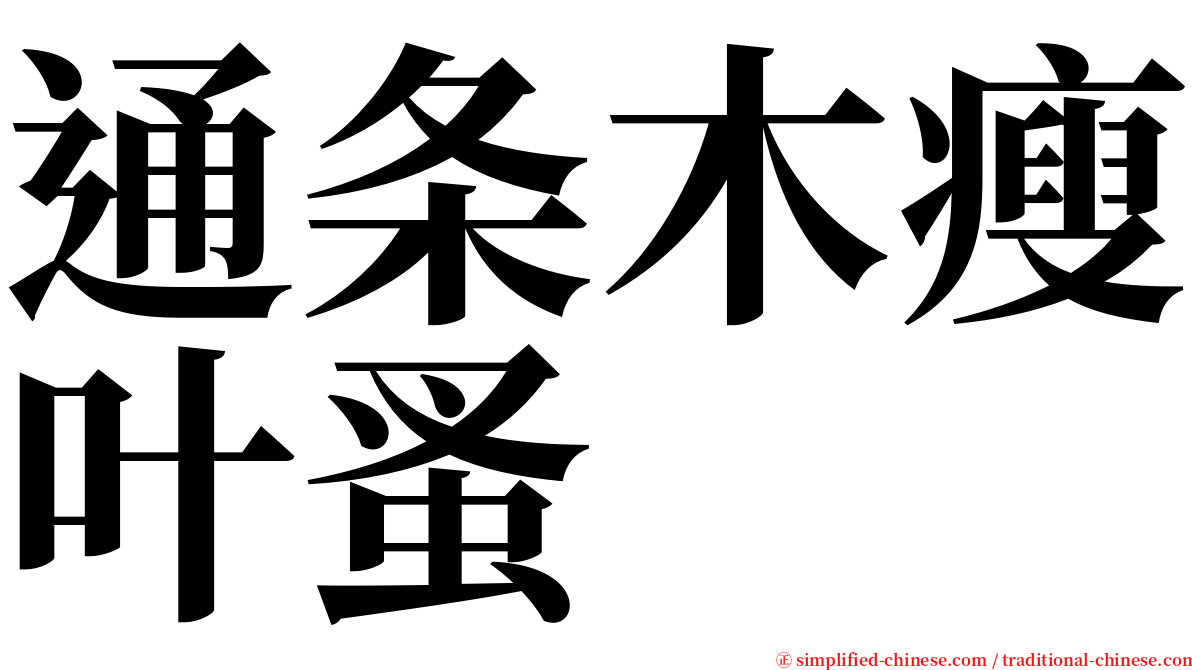 通条木瘦叶蚤 serif font