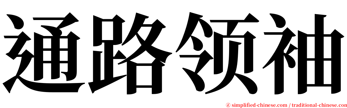 通路领袖 serif font