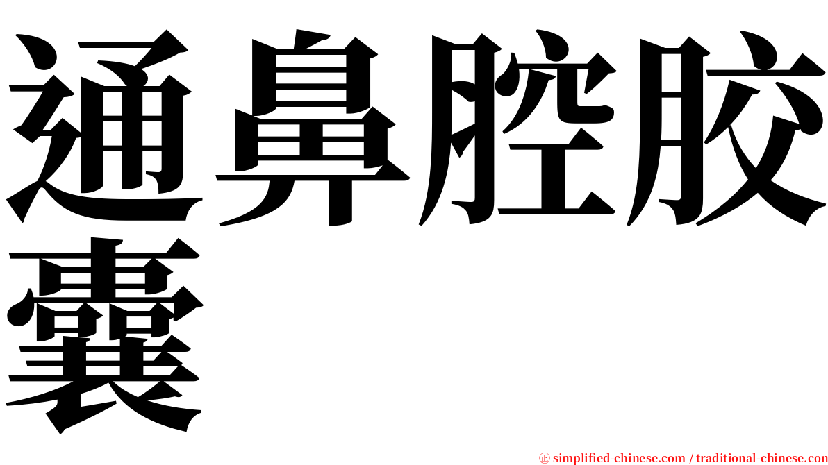 通鼻腔胶囊 serif font