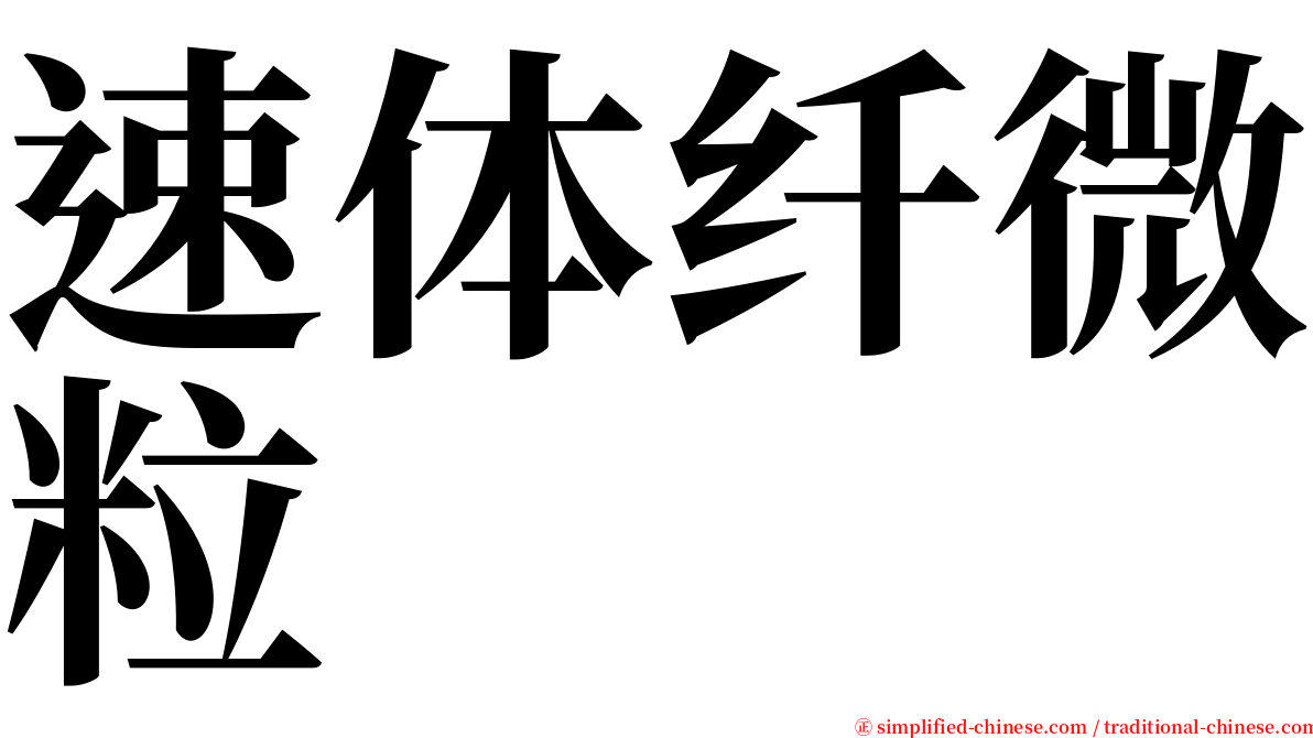 速体纤微粒 serif font