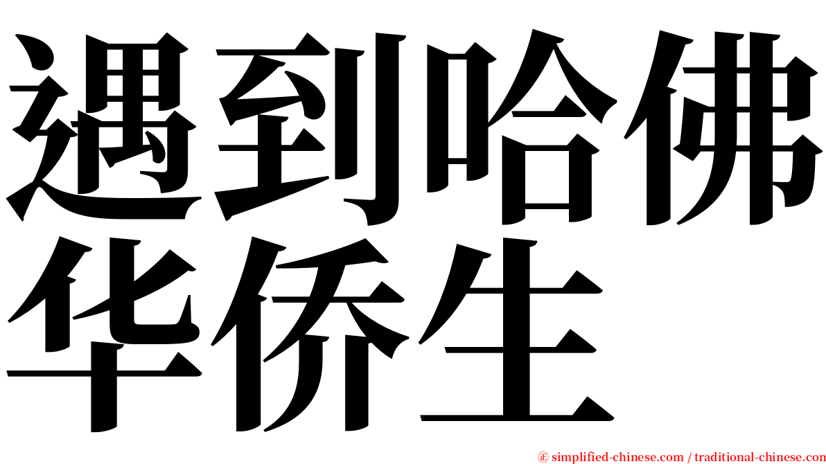 遇到哈佛华侨生 serif font