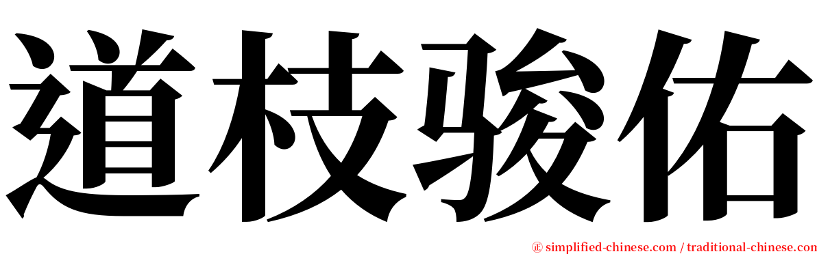 道枝骏佑 serif font