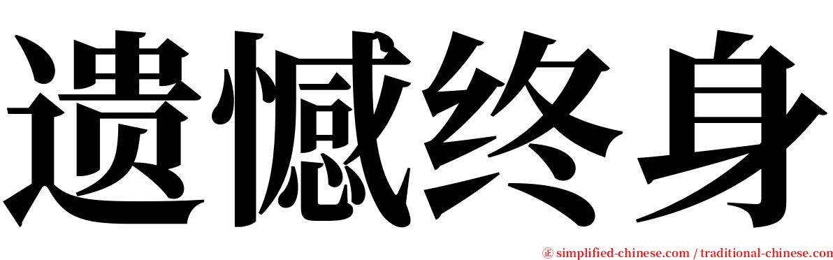 遗憾终身 serif font