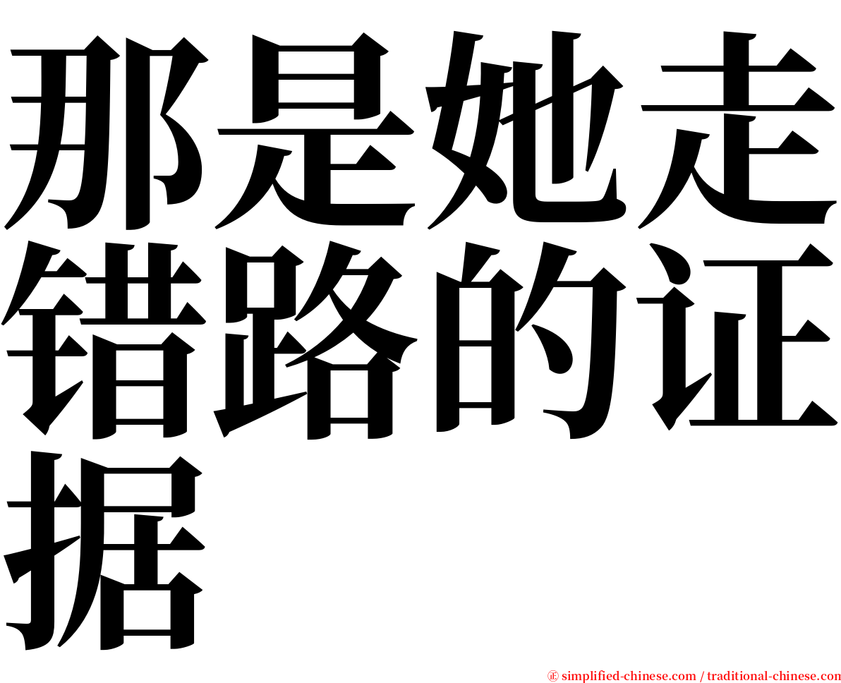 那是她走错路的证据 serif font