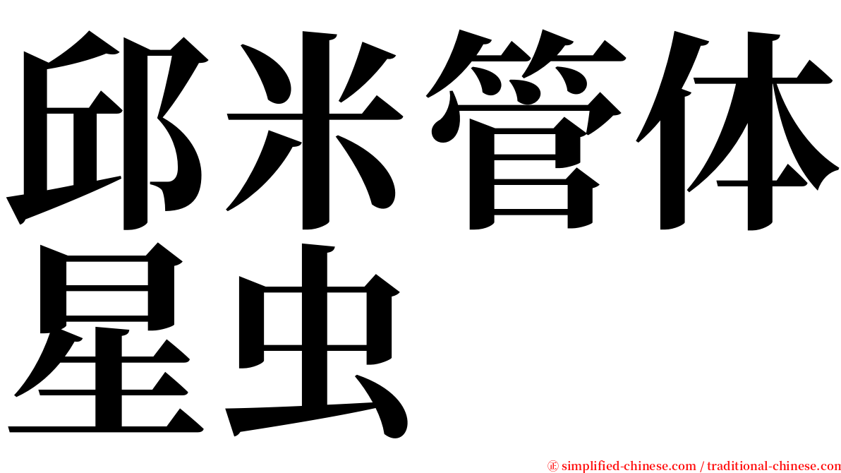 邱米管体星虫 serif font