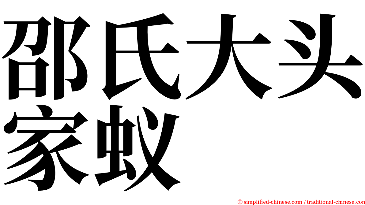 邵氏大头家蚁 serif font