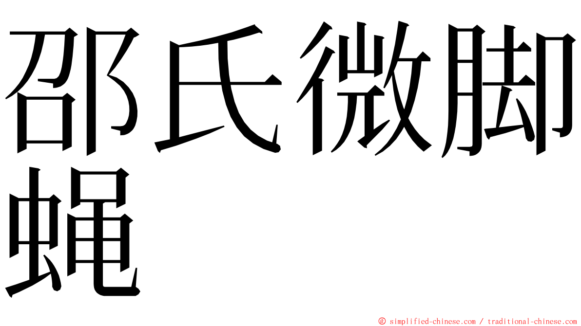 邵氏微脚蝇 ming font