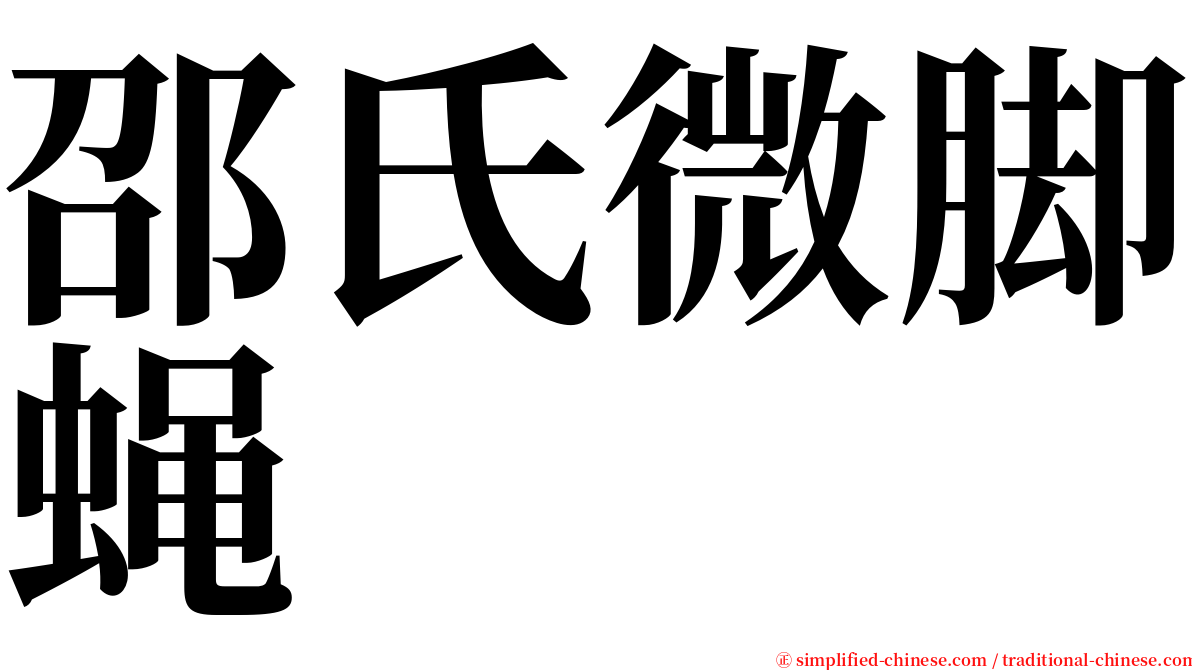 邵氏微脚蝇 serif font