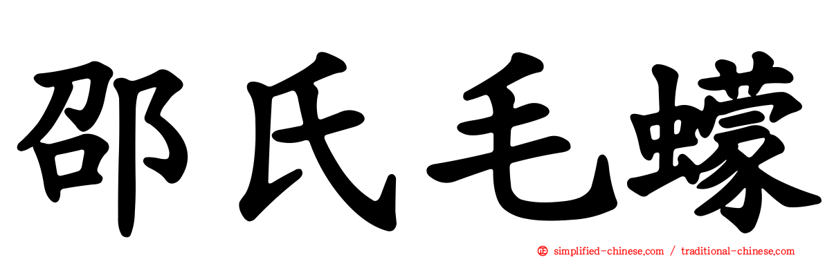 邵氏毛蠓