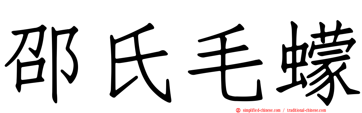 邵氏毛蠓