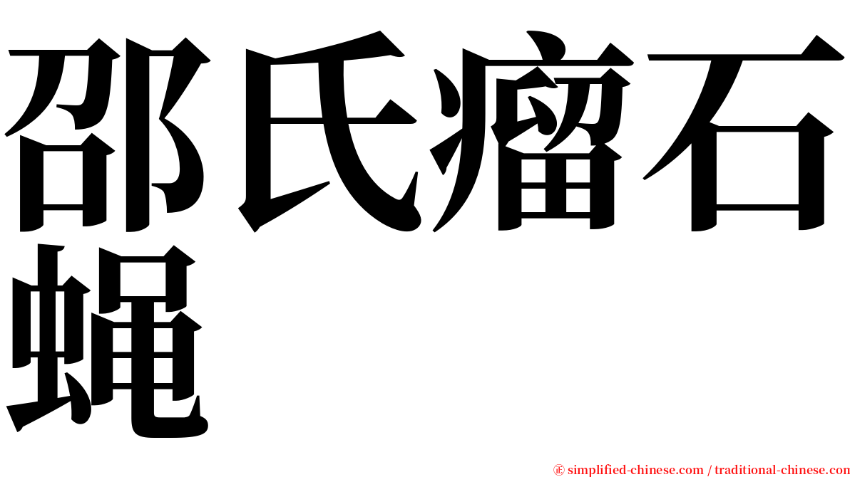 邵氏瘤石蝇 serif font