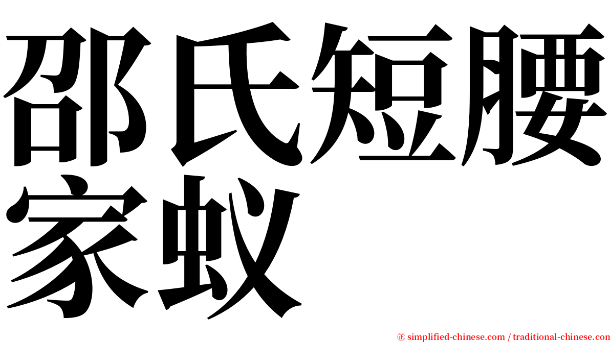 邵氏短腰家蚁 serif font