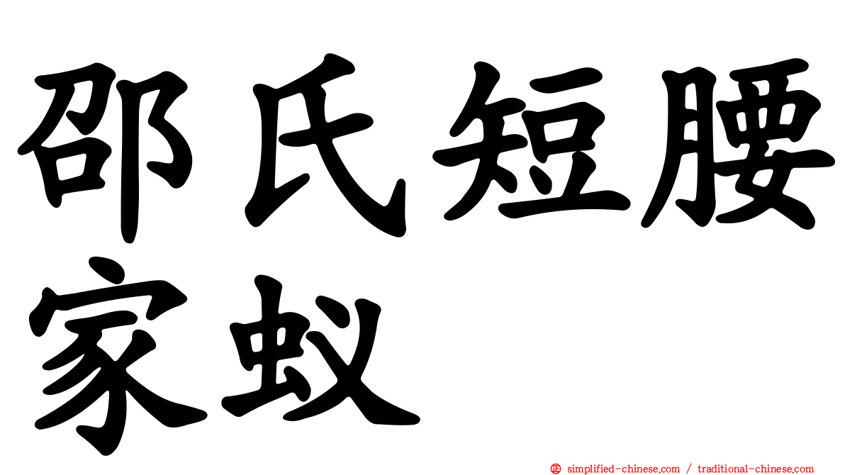 邵氏短腰家蚁