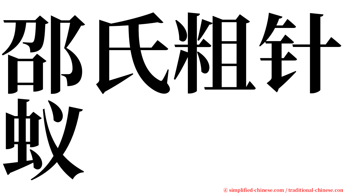 邵氏粗针蚁 serif font